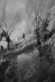 A Riverscape movie poster