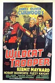 Poster do filme Wildcat Trooper