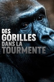 Gorillas unter Stress movie poster