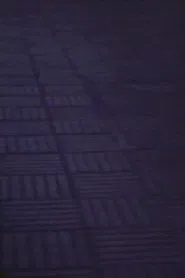 Poster do filme Station Floor