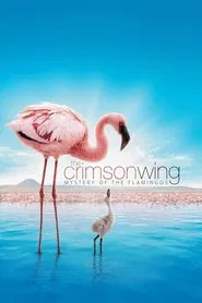 The Crimson Wing: Mystery of the Flamingos movie poster