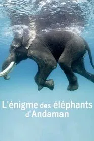 L'énigme des éléphants d'Andaman movie poster