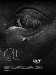 The Calf movie poster