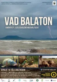 Balaton movie poster