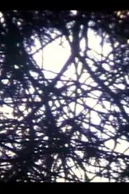 Fragmentos, Primera Impresión en S8 movie poster