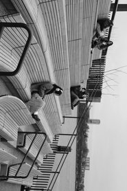 Little Island movie poster