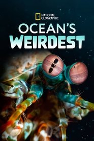 Ocean's Weirdest tv show poster