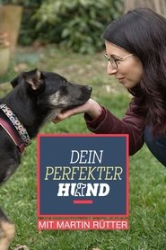 Dein perfekter Hund tv show poster