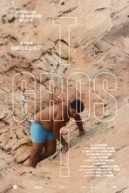 Poster do filme T gros !