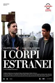 Foreign Bodies movie poster