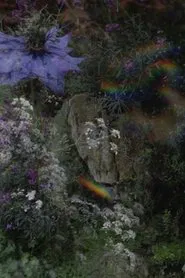 The Garden movie poster