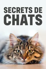 Wilde Miezen - Katzen allein unterwegs movie poster