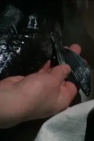 RX Recipe movie poster