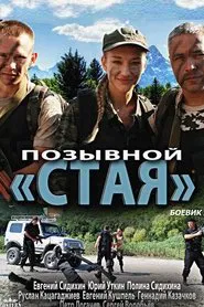 Позывной «Стая» tv show poster
