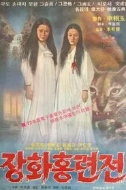 Poster do filme A Story of Two Sisters
