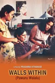 Poster do filme Walls Within