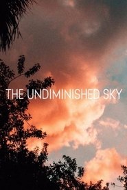 The Undiminished Sky movie poster