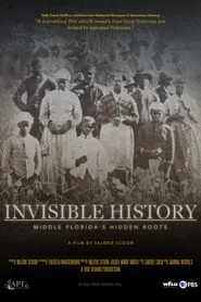 Invisible History: Middle Florida's Hidden Roots movie poster