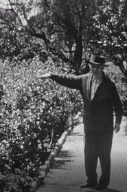 Chagall dans son jardin a Saint-Paul-de-Vence movie poster