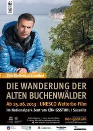 The Hike Through the Ancient Beech Forests - UNESCO World Heritage since 2011 movie poster