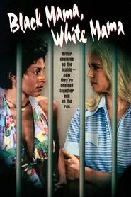 Poster do filme Black Mama, White Mama