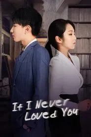 If I Never Loved You tv show poster