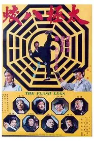 Poster do filme Shaolin Deadly Kicks
