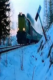 Poster do filme La Treizième Voiture