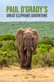 Paul O'Grady's Great Elephant Adventure tv show poster