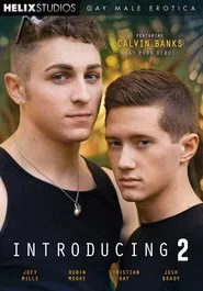 Poster do filme Introducing 2