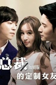 The President's Custom Girlfriend tv show poster