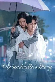 Wenderella's Diary tv show poster