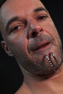Alex Hammer profile picture