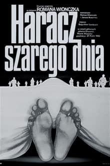 Tribute to a Gray Day movie poster