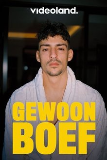 Gewoon Boef tv show poster