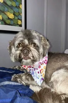 Cooper profile picture
