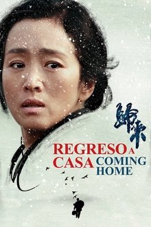Poster do filme Coming Home
