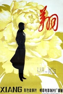 翔 movie poster