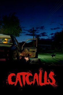 Catcalls movie poster