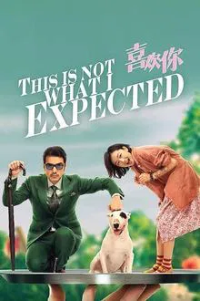 This Is Not What I Expected movie poster