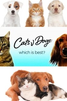 Cats v Dogs: Which is Best? tv show poster