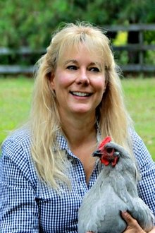 Lisa Steele profile picture