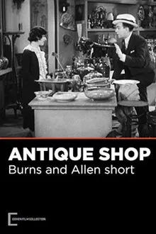 The Antique Shop movie poster