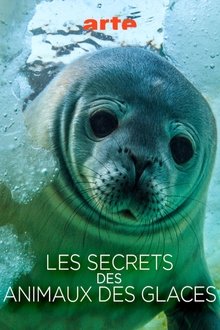 Les Secrets des Animaux des Glaces movie poster