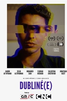 Dublined movie poster