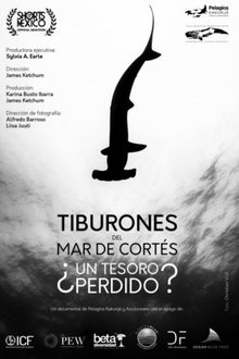 Tiburones Del Mar De Cortés: ¿Un Tesoro Perdido? movie poster