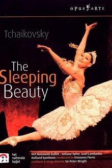 The Sleeping Beauty (Dutch National Ballet, 2003) movie poster