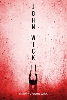 Training 'John Wick' movie poster