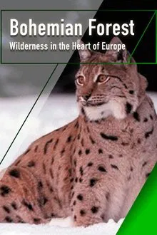The Bohemian Forest - Wilderness in the Heart of Europe movie poster