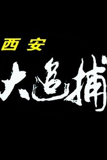 西安大追捕 tv show poster
